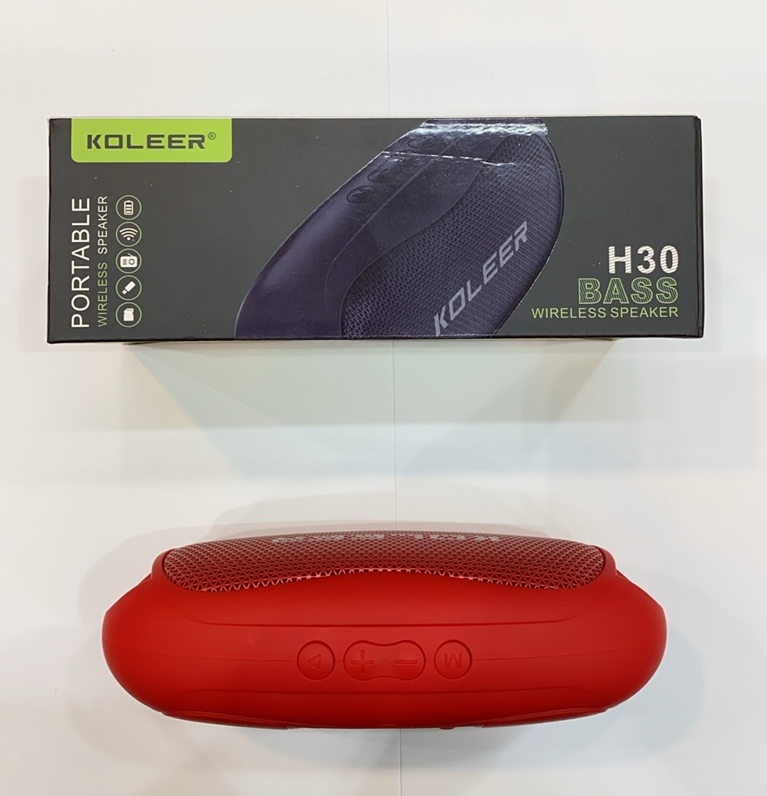 رنگ بندی اسپیکر قابل حمل KOLEER H30 کولییر مدل H30 تهران 1020